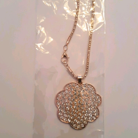 Jewelry Sweater Necklace Poshmark